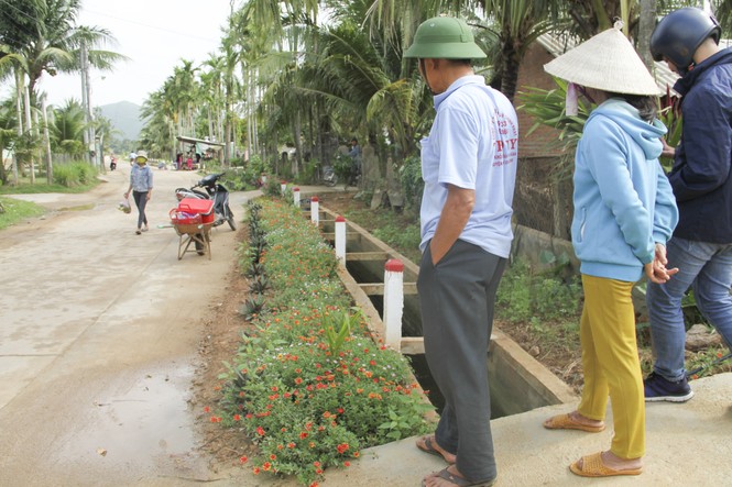 “Thảm hoa” những con đường quê! - ảnh 5