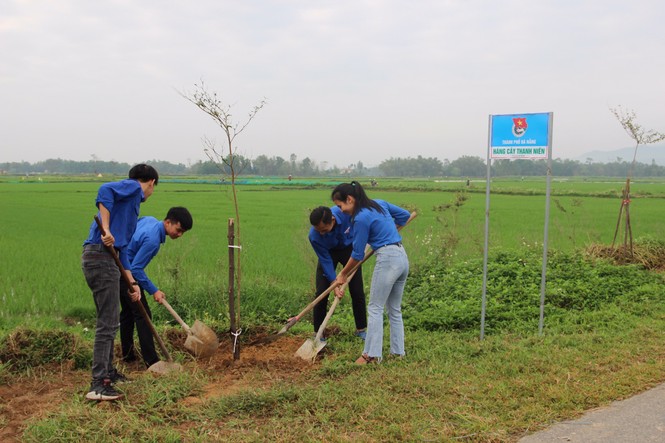 Tuổi trẻ Đà Nẵng ra quân Tết trồng cây Xuân Canh Tý - ảnh 1