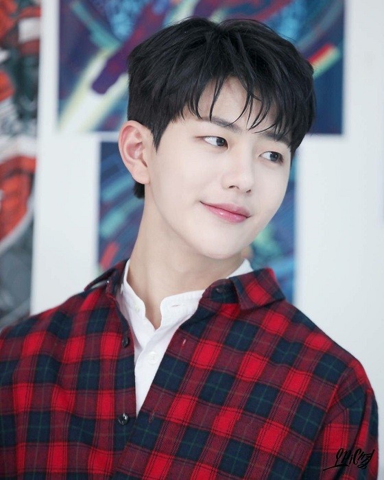 Những nam idol K-Pop nào là hoàng tử trong mơ của bạn? - ảnh 5
