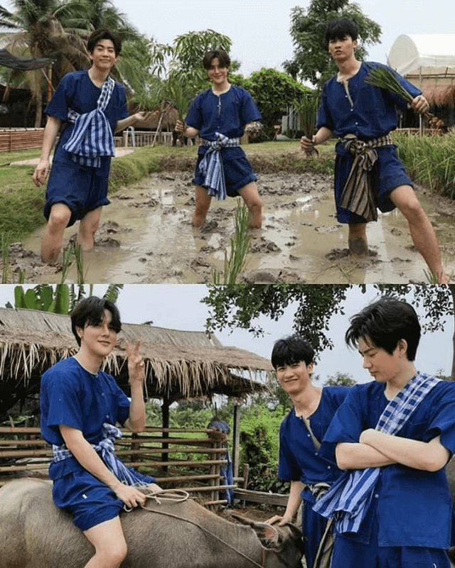Bộ tứ 91-line của GMMTV -