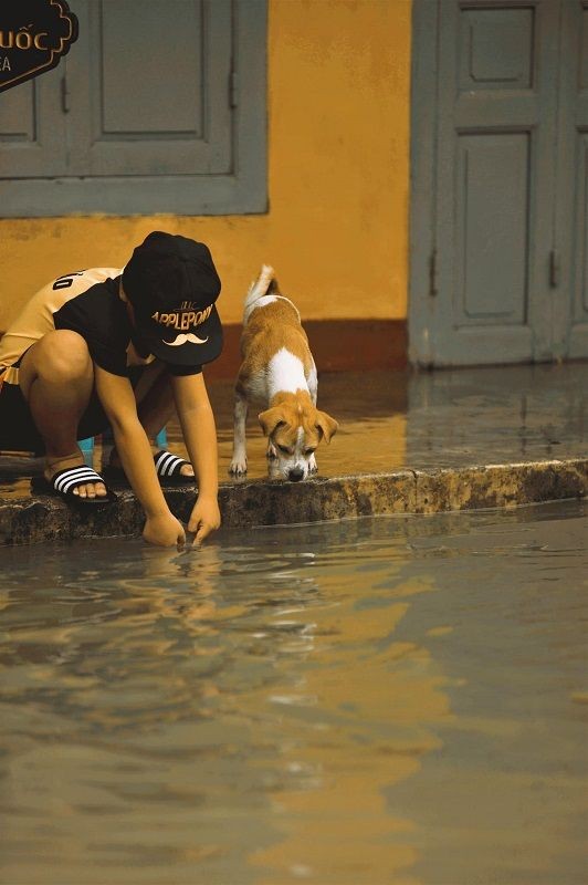 “Sau cơn mưa trời lại sáng - Sau bão tố, Hội An sẽ đẹp lại thôi” - ảnh 16