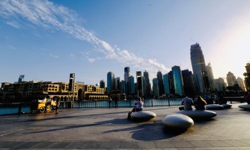 COVID-19: Nhật ký hồi hương (kỳ 1): Vội vã rời Dubai - ảnh 2