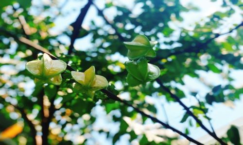 Cuộc thi viết Trà sữa cho tâm hồn: Mồ hôi sinh ra là để rơi. Có việc làm, đã là hạnh phúc - ảnh 1