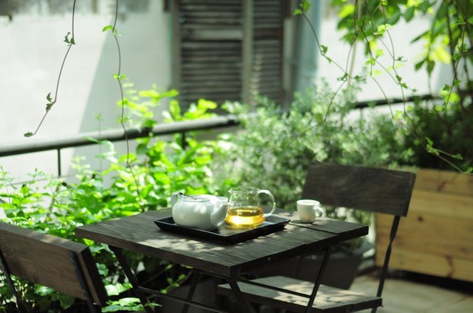 2 homestay sang-xịn-giá hạt dẻ tại Sài Gòn - ảnh 8