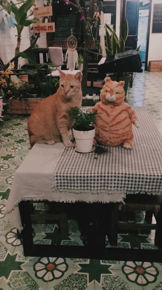 2 homestay sang-xịn-giá hạt dẻ tại Sài Gòn - ảnh 13