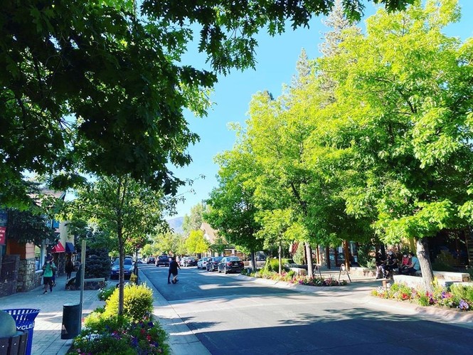 Big Bear Lake - thành phố trên núi được bao quanh bởi hàng thông xanh rì - ảnh 8