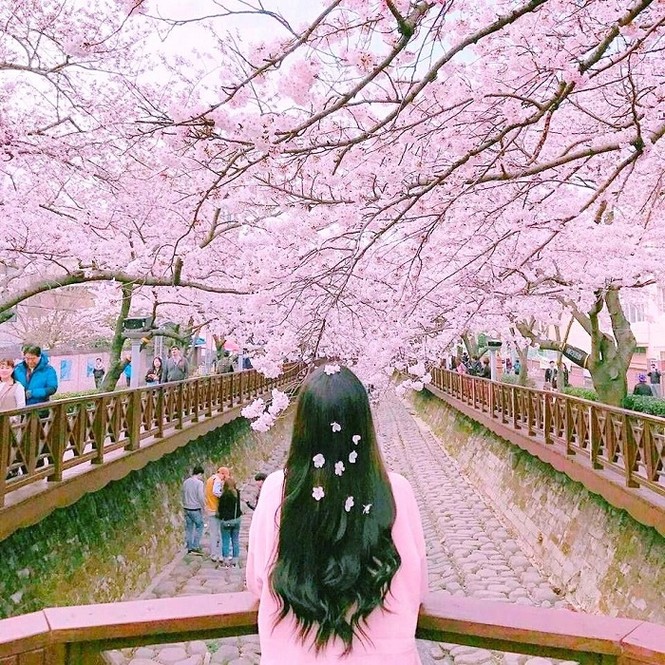 Cuộc thi viết Trà sữa cho tâm hồn: Em ơi đừng đợi nữa, kẻo thanh xuân úa tàn - ảnh 1