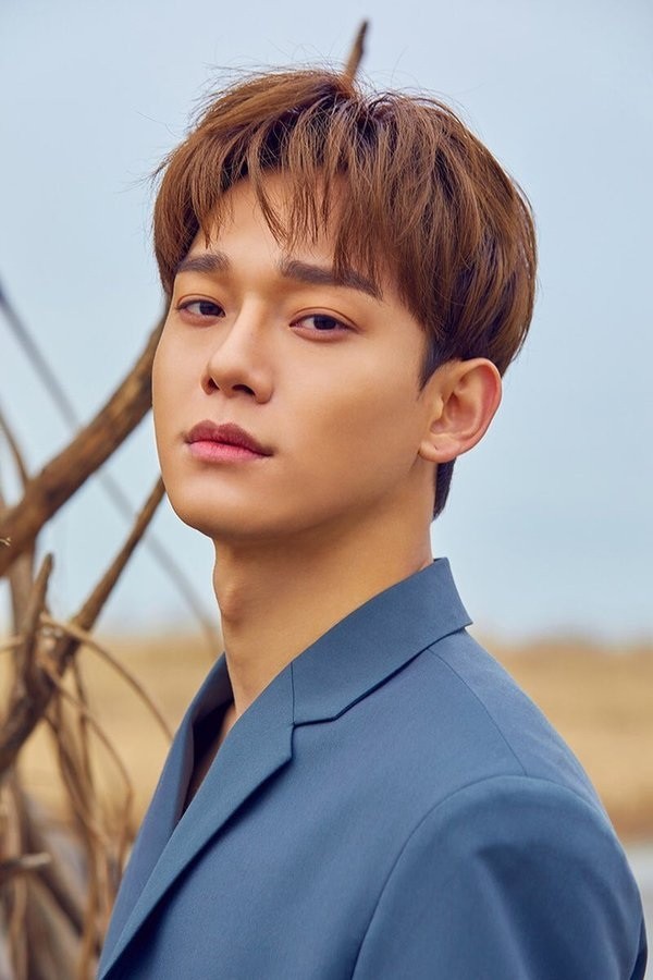Trong thế giới fangirl: Ngày người em thương kết hôn, em đã khóc nhưng rồi lại cười - ảnh 1
