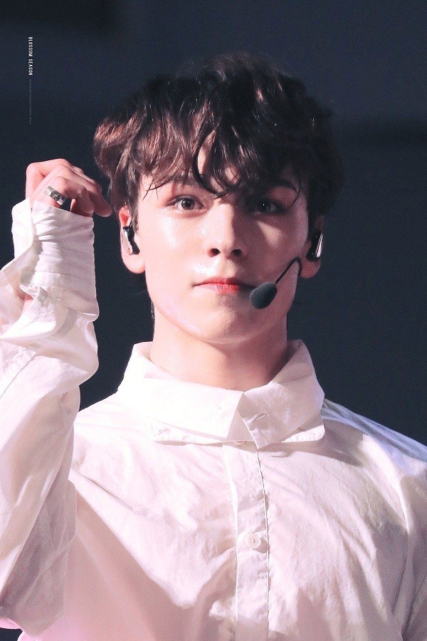 Trong thế giới fangirl: Vernon là chàng hoàng tử bạch mã của một cô gái thuở mộng mơ - ảnh 3
