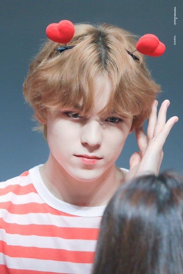 Trong thế giới fangirl: Vernon là chàng hoàng tử bạch mã của một cô gái thuở mộng mơ - ảnh 1