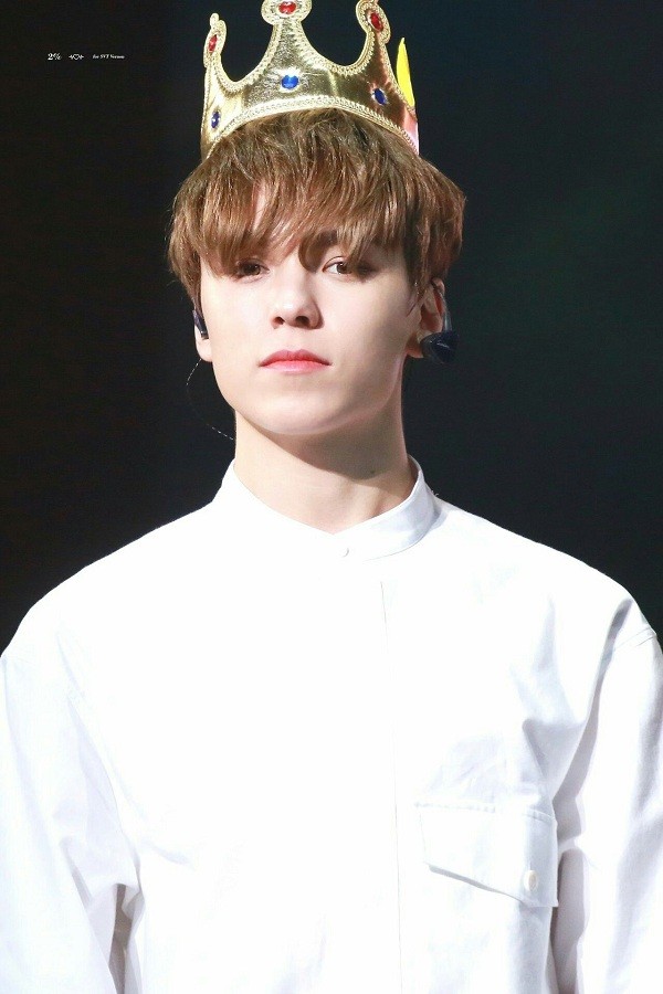 Trong thế giới fangirl: Vernon là chàng hoàng tử bạch mã của một cô gái thuở mộng mơ - ảnh 5
