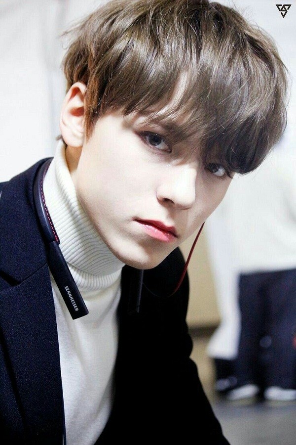 Trong thế giới fangirl: Vernon là chàng hoàng tử bạch mã của một cô gái thuở mộng mơ - ảnh 2