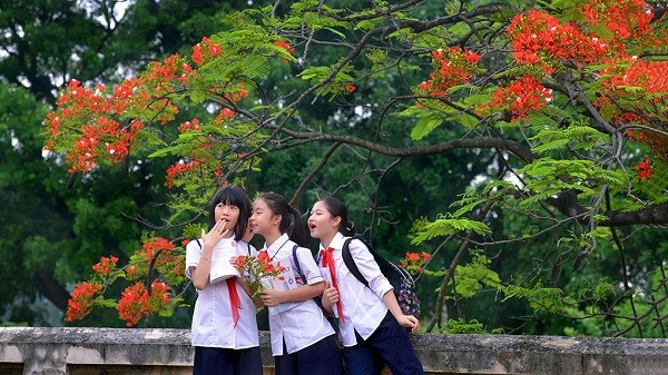 Thu đã vàng ươm rụng đầy trước cửa, thế mà lũ trẻ chúng tôi vẫn đang nghỉ Hè - ảnh 5
