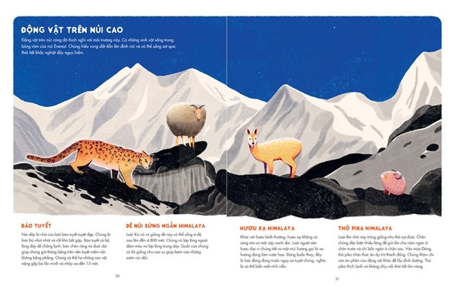 “Lướt cùng Tí Địa Lí” và “Chinh phục Everest”: Sách vừa học vừa chơi, rong ruổi thế giới - ảnh 4