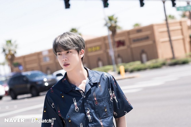 Trong thế giới fangirl: Jin trong lòng tôi đẹp đẽ và kiêu hãnh, tựa một đóa hoa ly - ảnh 2