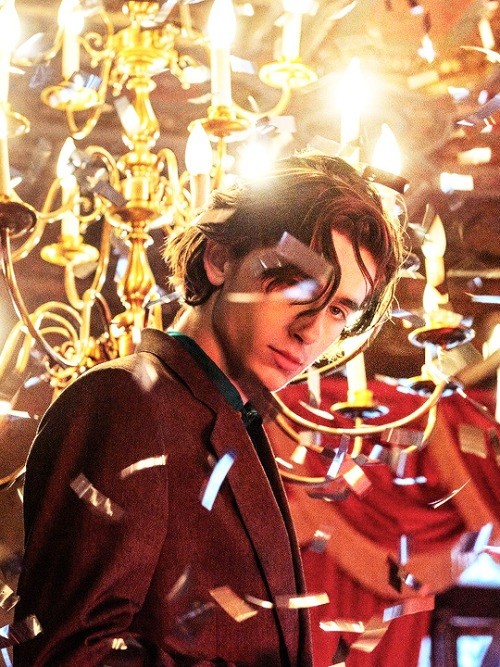 Trong thế giới fangirl: Mùa Hè năm ấy, chàng thơ Timothée Chalamet bước vào cuộc đời tớ - ảnh 4