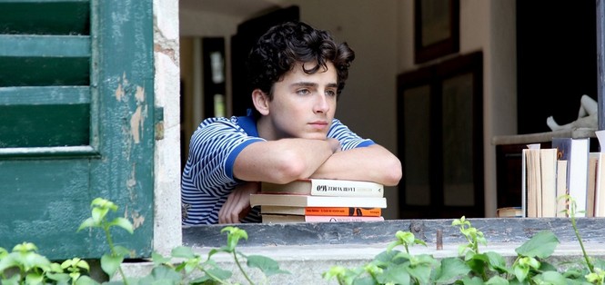 Trong thế giới fangirl: Mùa Hè năm ấy, chàng thơ Timothée Chalamet bước vào cuộc đời tớ - ảnh 1