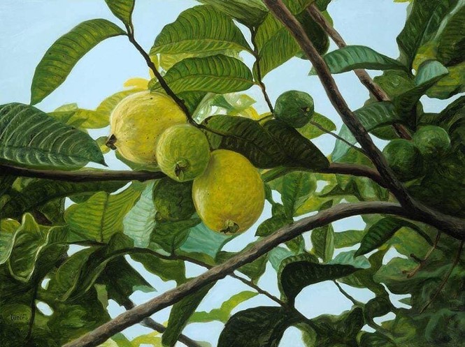 Thu đã vàng ươm rụng đầy trước cửa, thế mà lũ trẻ chúng tôi vẫn đang nghỉ Hè - ảnh 4