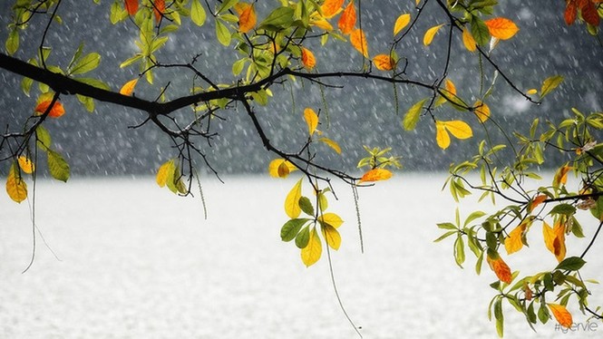 Thu đã vàng ươm rụng đầy trước cửa, thế mà lũ trẻ chúng tôi vẫn đang nghỉ Hè - ảnh 2