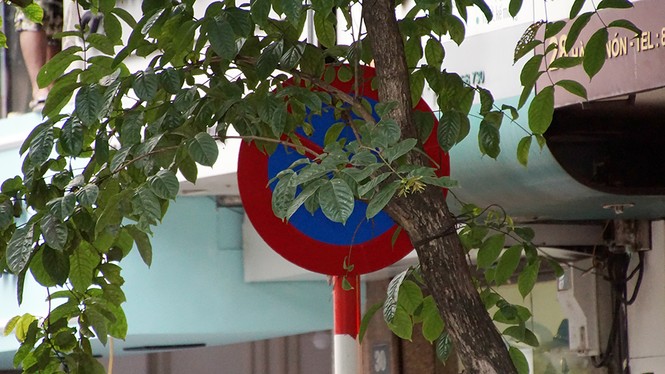 Biển báo giao thông 'thách thức' người đi đường Thủ đô - ảnh 1