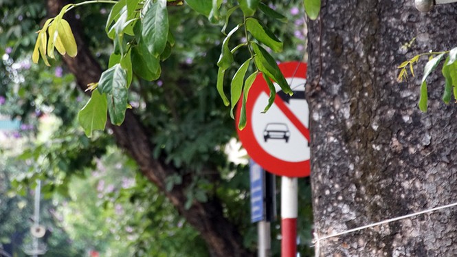 Biển báo giao thông 'thách thức' người đi đường Thủ đô - ảnh 15