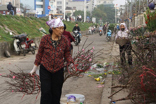 Đào Nhật Tân 'bung lụa' đón Tết sớm ở chợ hoa Hà Nội - ảnh 4