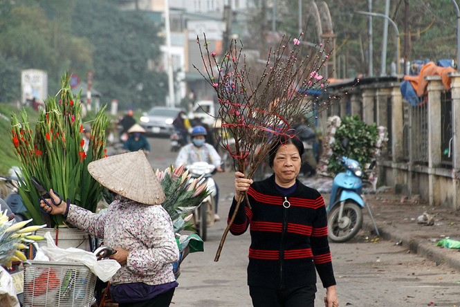 Đào Nhật Tân 'bung lụa' đón Tết sớm ở chợ hoa Hà Nội - ảnh 6
