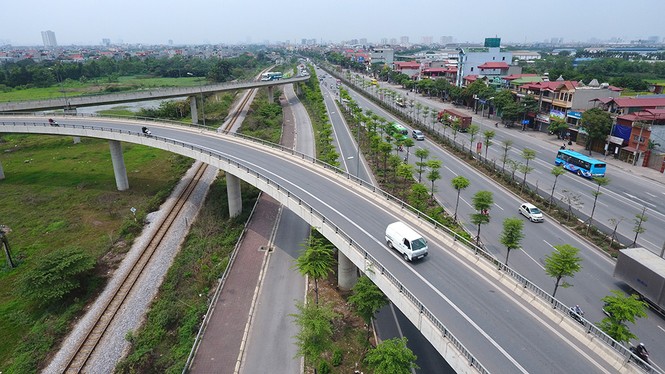 Những hàng cây xanh mướt thẳng tắp ở đầu cầu Thanh Trì - ảnh 1