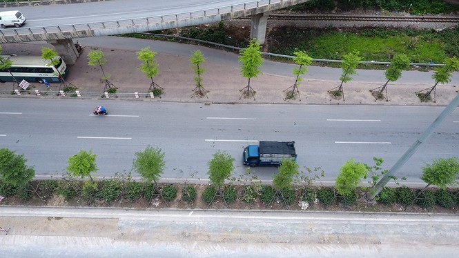 Những hàng cây xanh mướt thẳng tắp ở đầu cầu Thanh Trì - ảnh 4