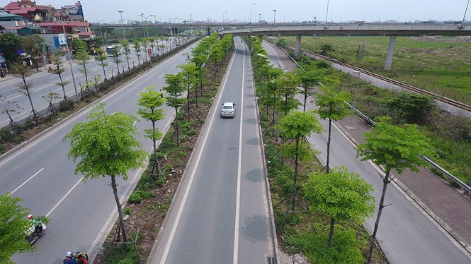 Những hàng cây xanh mướt thẳng tắp ở đầu cầu Thanh Trì - ảnh 7