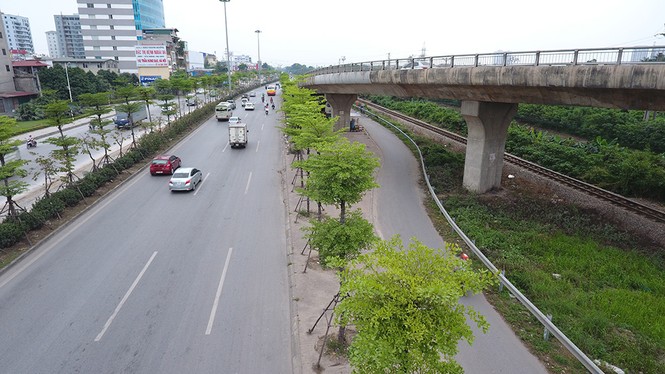 Những hàng cây xanh mướt thẳng tắp ở đầu cầu Thanh Trì - ảnh 11