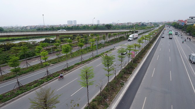Những hàng cây xanh mướt thẳng tắp ở đầu cầu Thanh Trì - ảnh 12