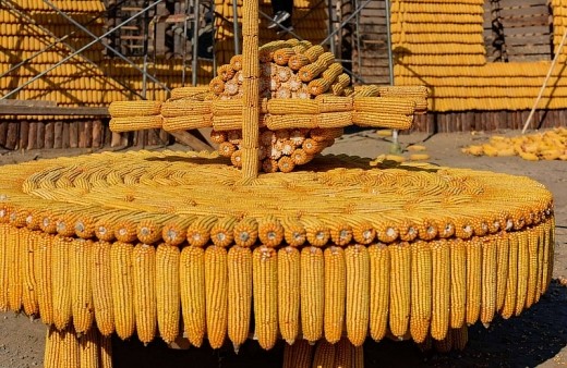 Lo quy hoạch một đằng, “đại gia” làm một nẻo - ảnh 3