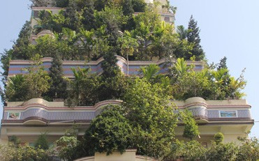 Lạ kỳ 'vườn treo Babylon' giữa miền Tây - ảnh 2