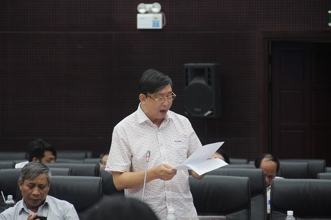Đà Nẵng lấy ý kiến chuyên gia về bản quy hoạch thành phố - ảnh 2