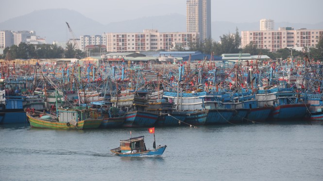 Người dân Đà Nẵng hối hả đưa tàu thuyền đi tránh bão số 9 - ảnh 2