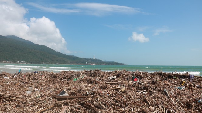     Rubbish flooding Danang's beaches after a storm - photo 1