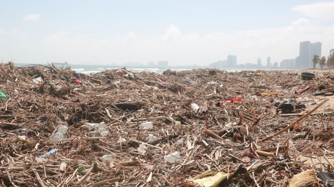     Garbage flooding Danang's beaches after a storm - photo 2