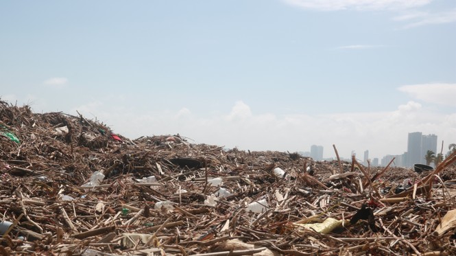     Garbage flooding Danang's beaches after a storm - photo 6