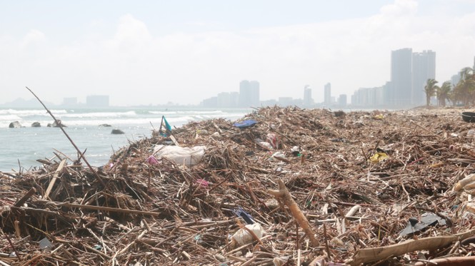     Trash flooded Danang's beaches after a storm - photo 3