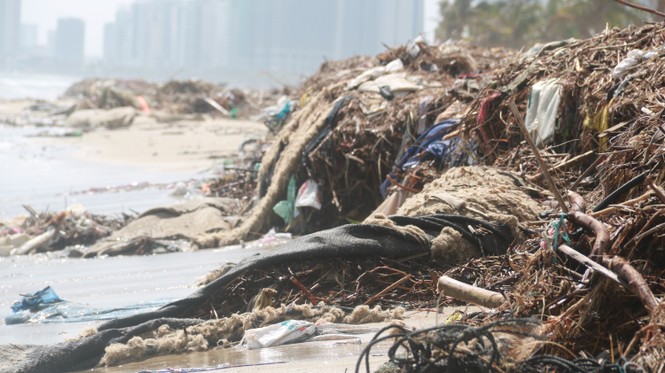     Rubbish flooding Danang's beaches after a storm - photo 7