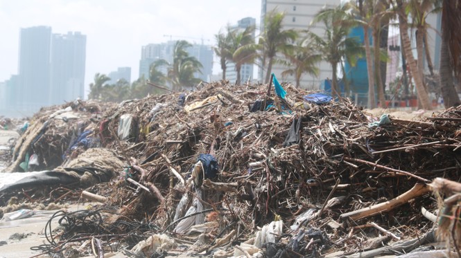     Trash floods Danang's beaches after a storm - photo 4