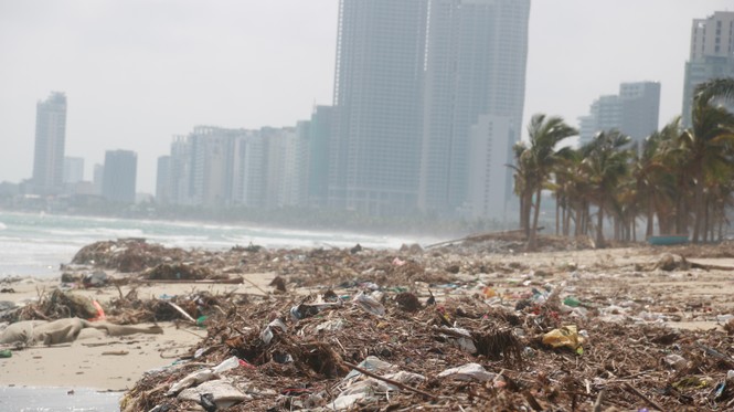     Trash floods Danang's beaches after a storm - photo 5