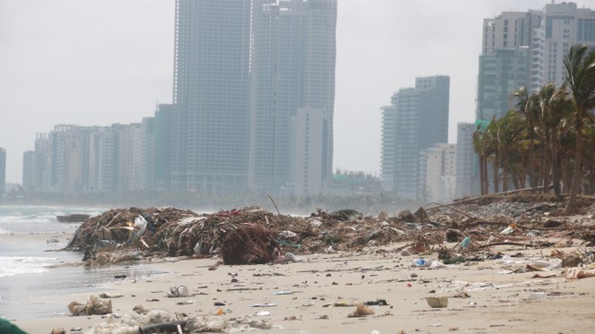     Trash floods Danang's beaches after a storm - photo 9