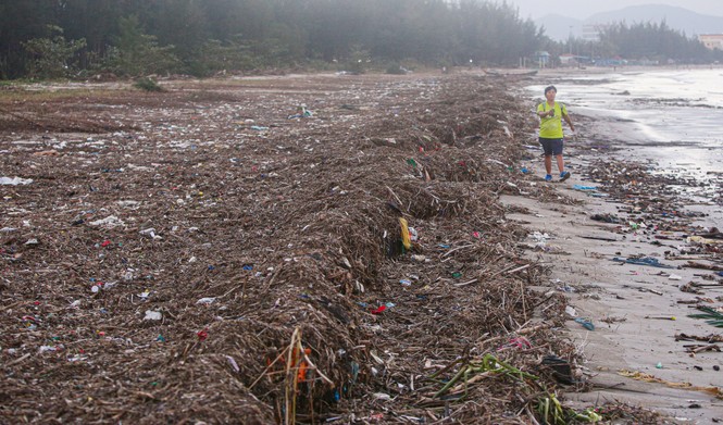     Trash flooding Danang's beaches after a storm - photo 10