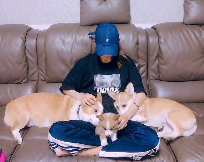 Xuất hiện dàn boss cưng cực sang chảnh của hội idol tham gia Đại hội thể thao Kpop 2020 - ảnh 2