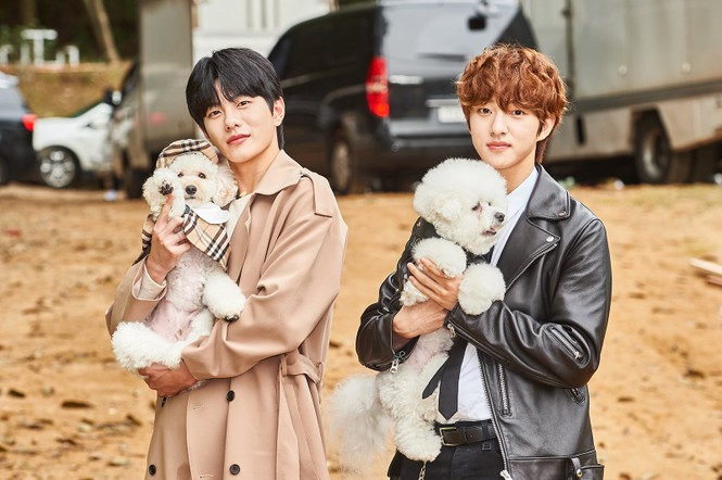 Xuất hiện dàn boss cưng cực sang chảnh của hội idol tham gia Đại hội thể thao Kpop 2020 - ảnh 8