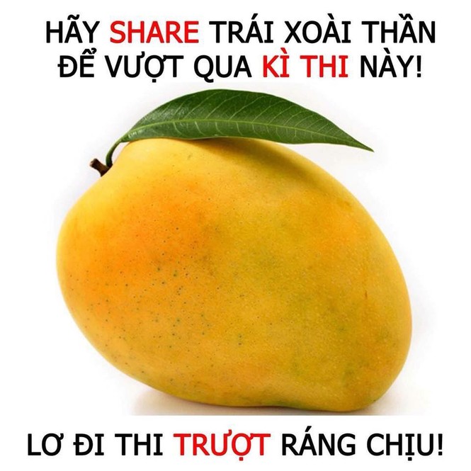 Ký sự ôn thi của 2K2-ers: Đừng share “thần” xoài, “thần” thìa nữa, chúng tớ chỉ cần “thần” quạt! - ảnh 1