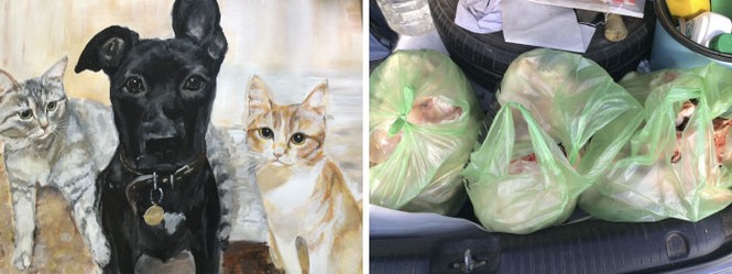 Cậu bé vẽ tranh để đổi lấy đồ ăn cho thú cưng - ảnh 8