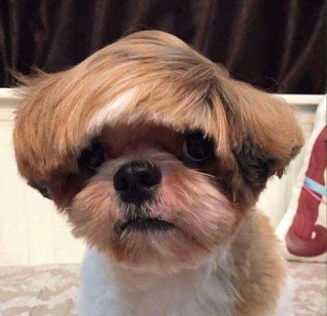 Chất phát ngất với hội